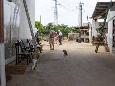 Superato infatti l�ingresso entriamo nell�aia di un�abitazione di campagna occupata da quattro uomini molto avanti con l�et� e da decine di gatti e qualche cagnolino